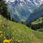 263f9c5ce6b78a68d0a3aa9167263309